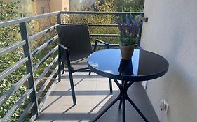 Černá Růže- Apartmán 5